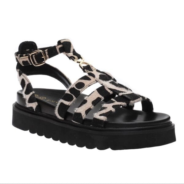 ENVIE GLADIATOR FLATFORMS E32-21435 LEOPAR