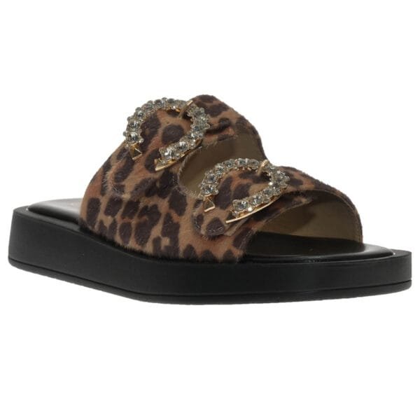 ENVIE FLATFORMS E22-21423 LEOPAR